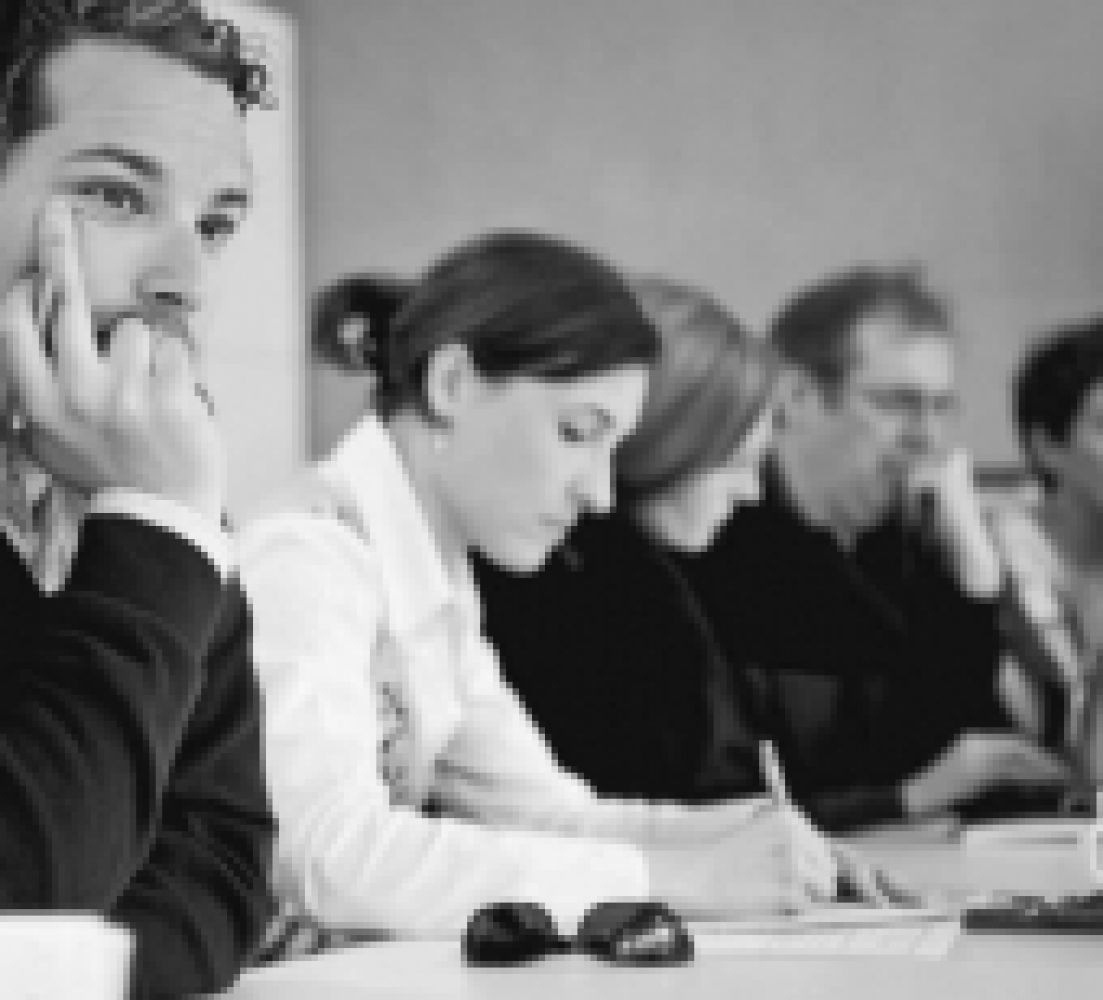 Master Master of Arts (M.A.), Politics, Administration & International Relations - Berufsfeld / Zielpublikum
